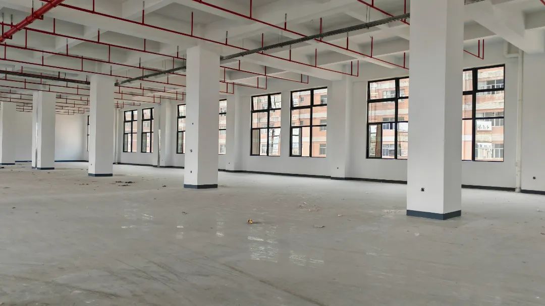 1748393351624294.jpg 8.jpg