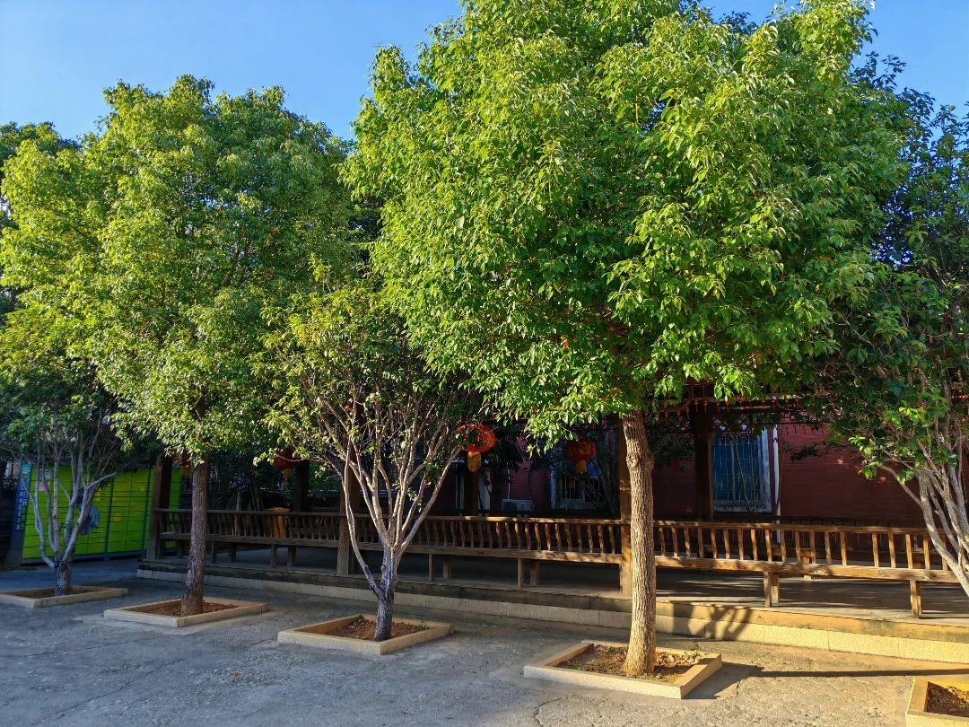 1748596558164514.jpg 26.jpg